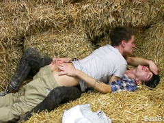 Guys enjoying tender oral job at the hayloft